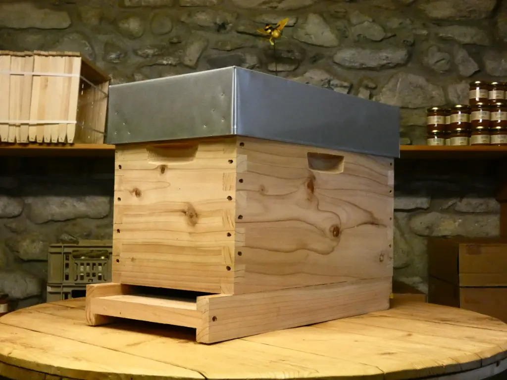 Ruchette 6 cadres Dadant