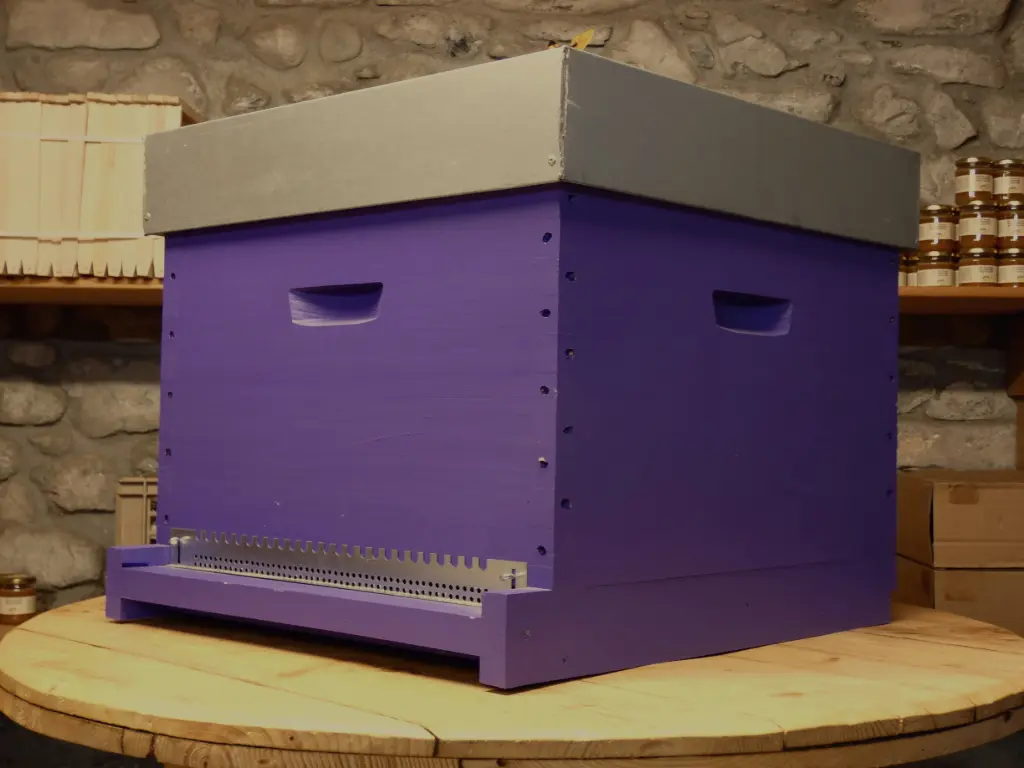 Ruche 12 cadres Dadant crypto montée et peinte 